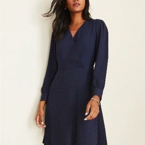 Ann Taylor Women's V-Neck Polka Dot Knee Length Dress Size 6
